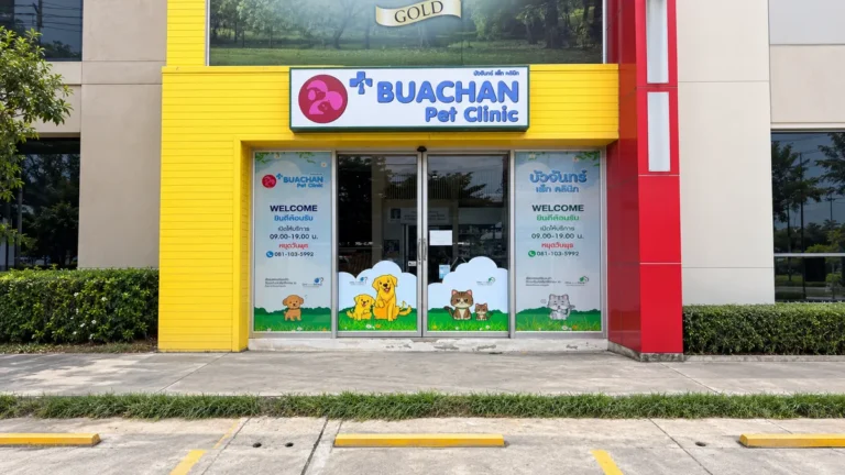 งานติดตั้งสติ๊กเกอร์: เปลี่ยนพื้นที่ธรรมดาให้เป็นสื่อโฆษณาสุดสร้างสรรค์กับ IdeaHead